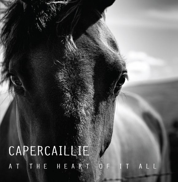 Album Cover for Capercaillie - At The Heart Of It All - VERTCD100 -Music CD