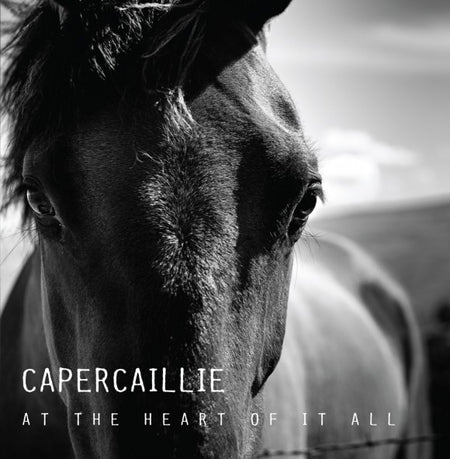 Album Cover for Capercaillie - At The Heart Of It All - VERTCD100 -Music CD